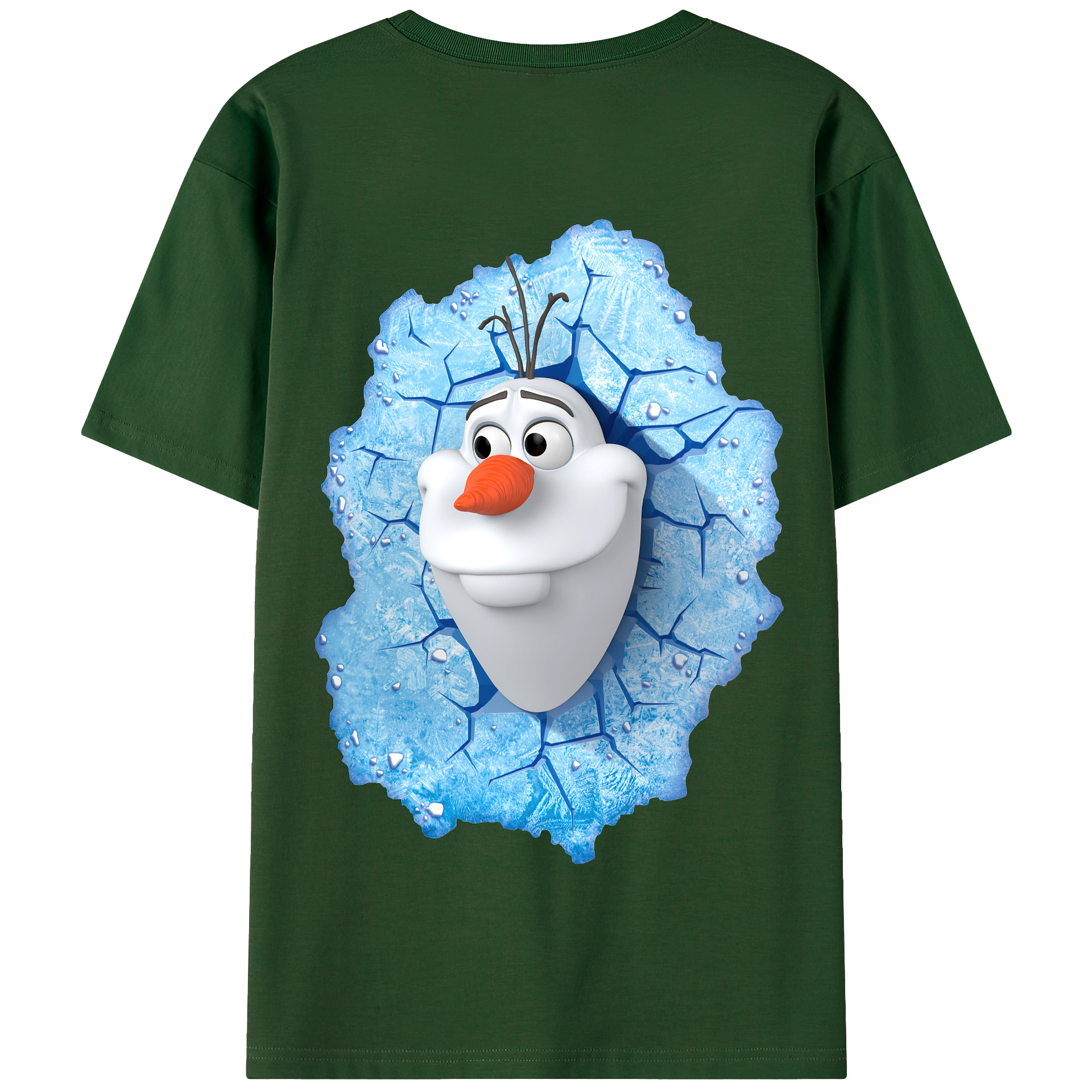 （画像用） アナと雪の女王 アンナ エルサ Frozen Anna Elsa 綿100％半袖Tシャツ（背面プリント）